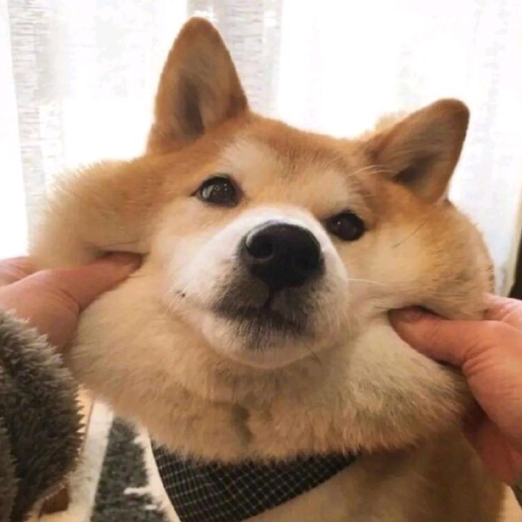 旺旺碎冰冰