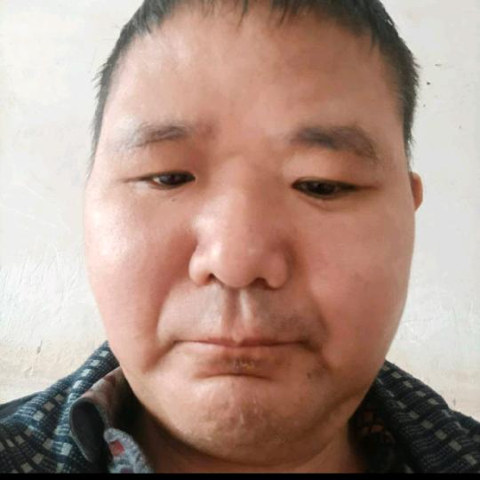 货运胖哥2