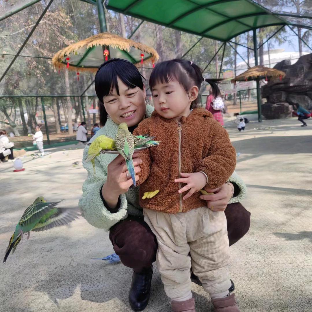 人生如梦