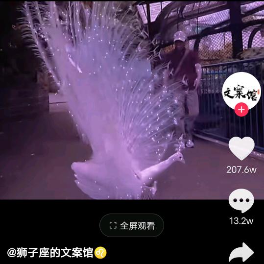 此时此刻我想……