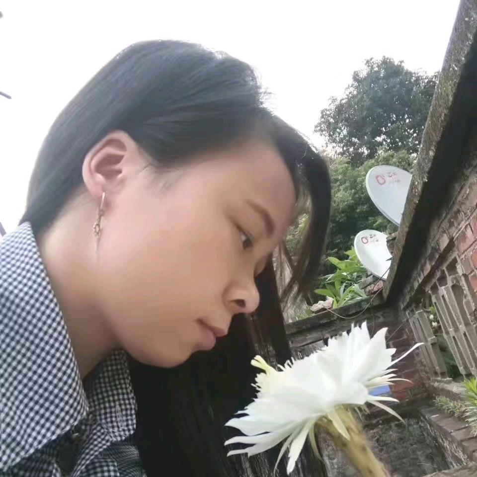 ♥凤凤♥