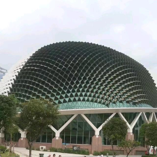 狮城林哥