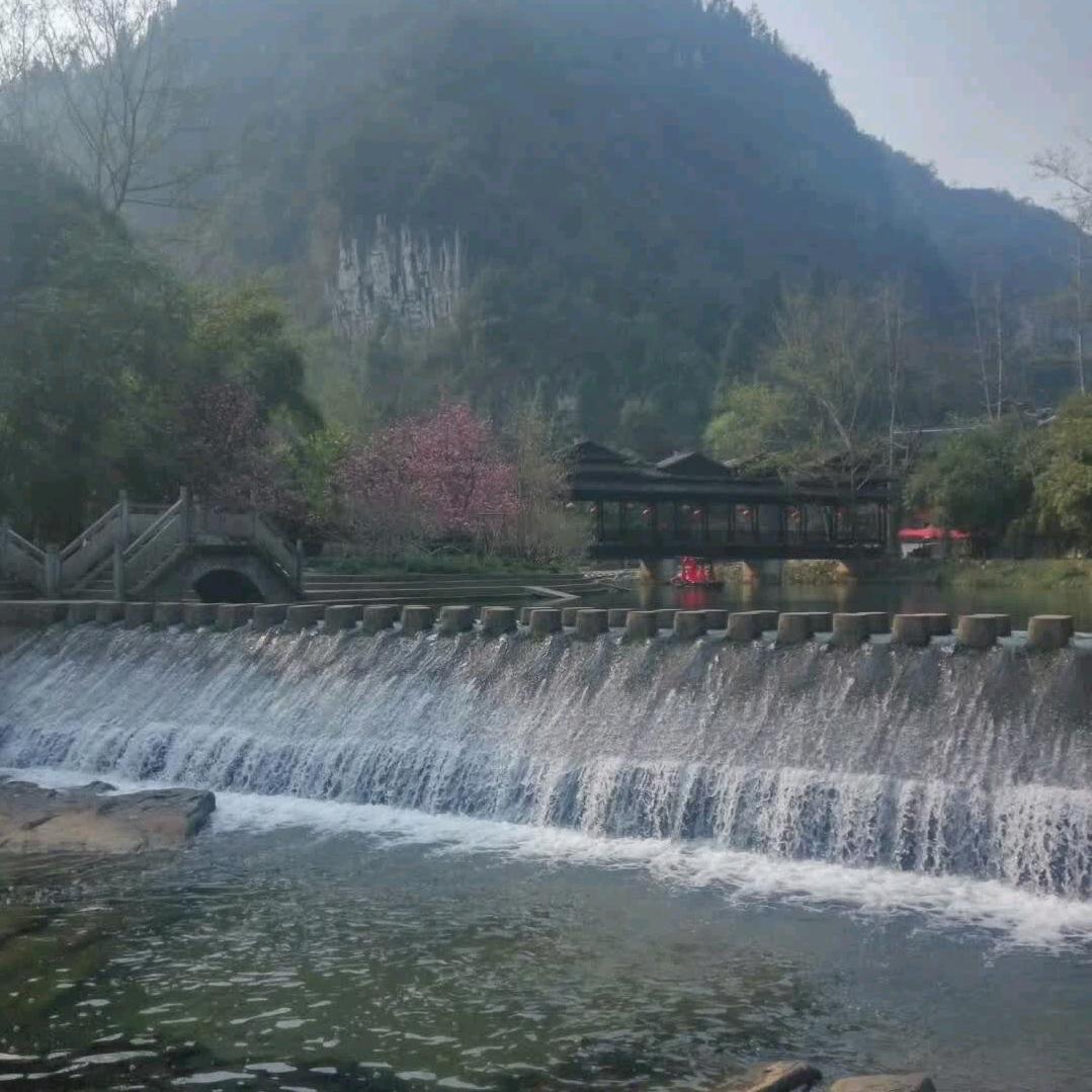 黄金一代