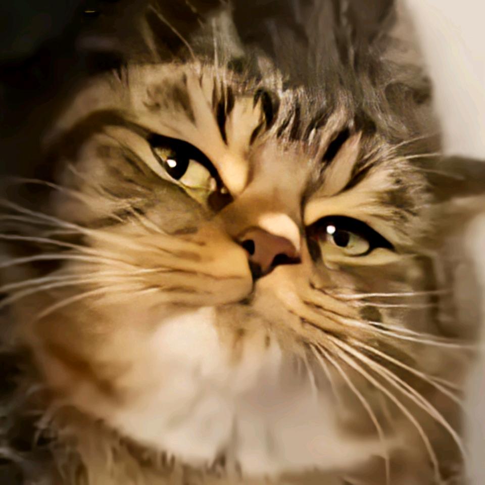 猫头哥