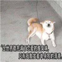 杨江林