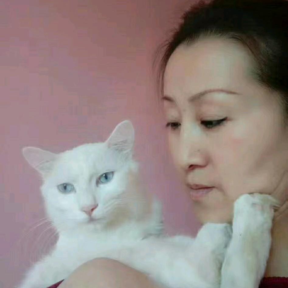 亲秋的猫4931