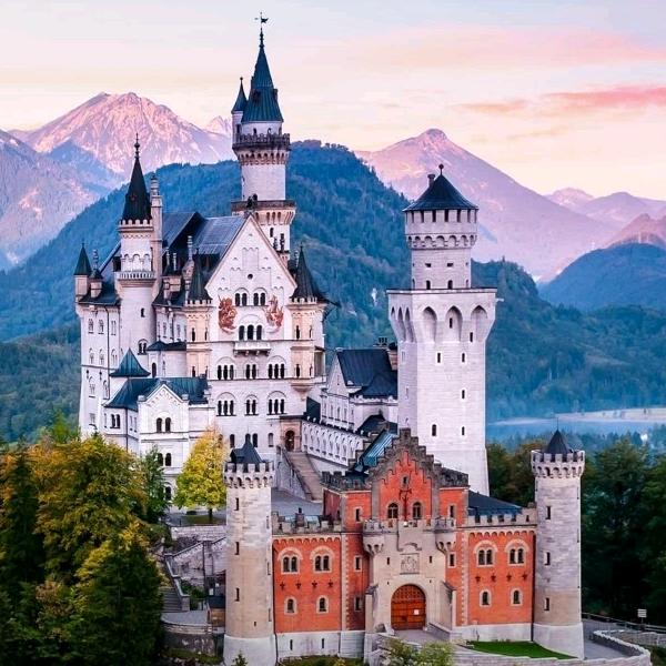 🌻彭家三千金🍄