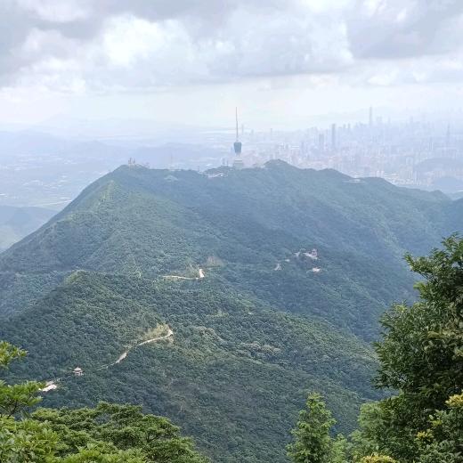 明明