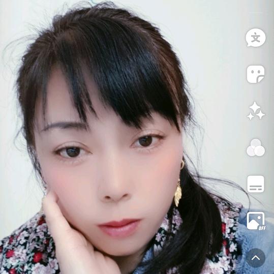 茶园品茶