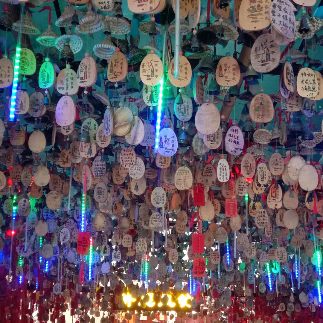 人心向阳