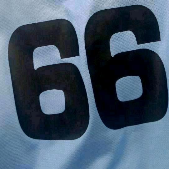 🇨🇳66