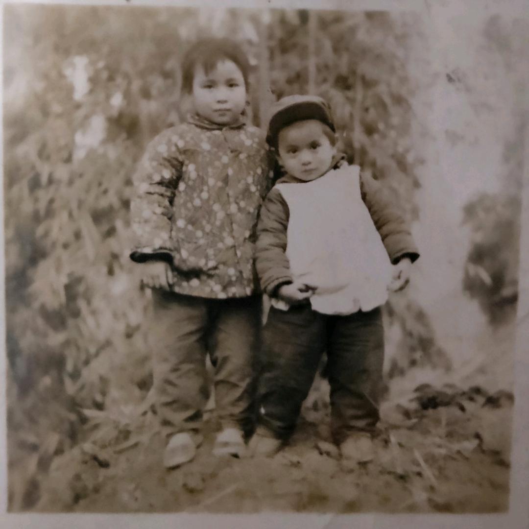 晓晓猪一只