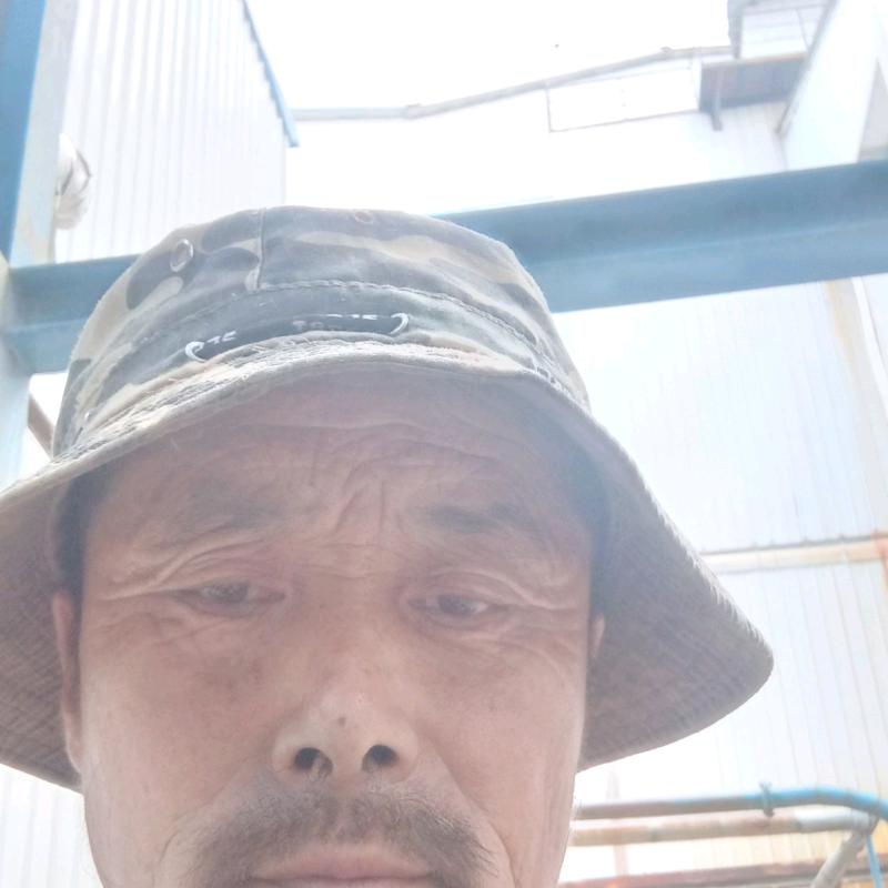 丹叶青梃