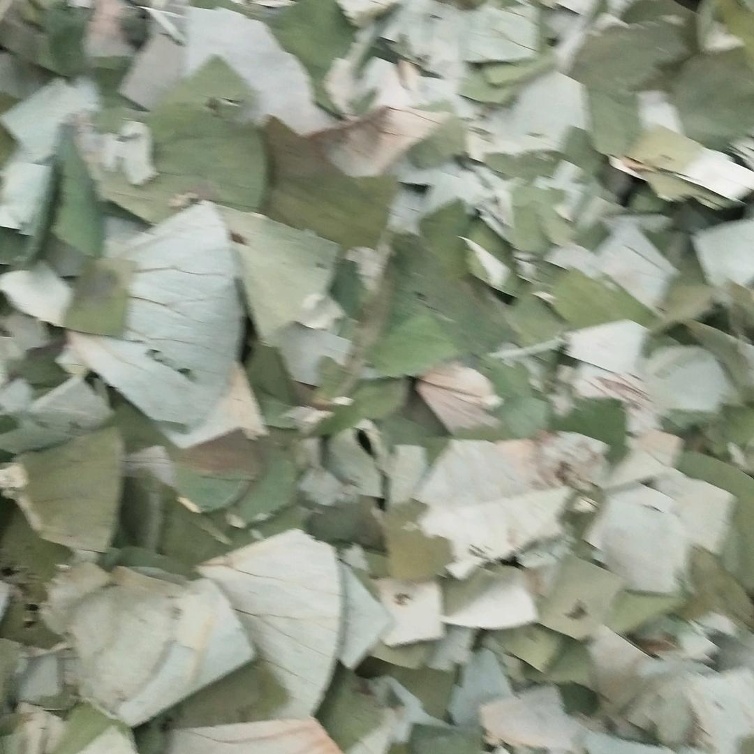 微湖荷韵