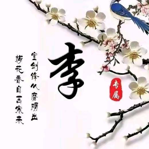 待到红旗满天下🐴踏东京赏樱花