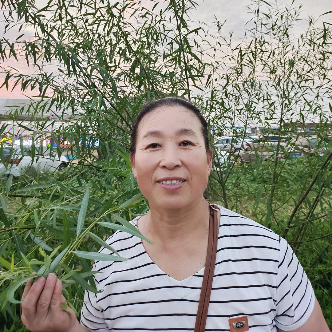 一品茶姐