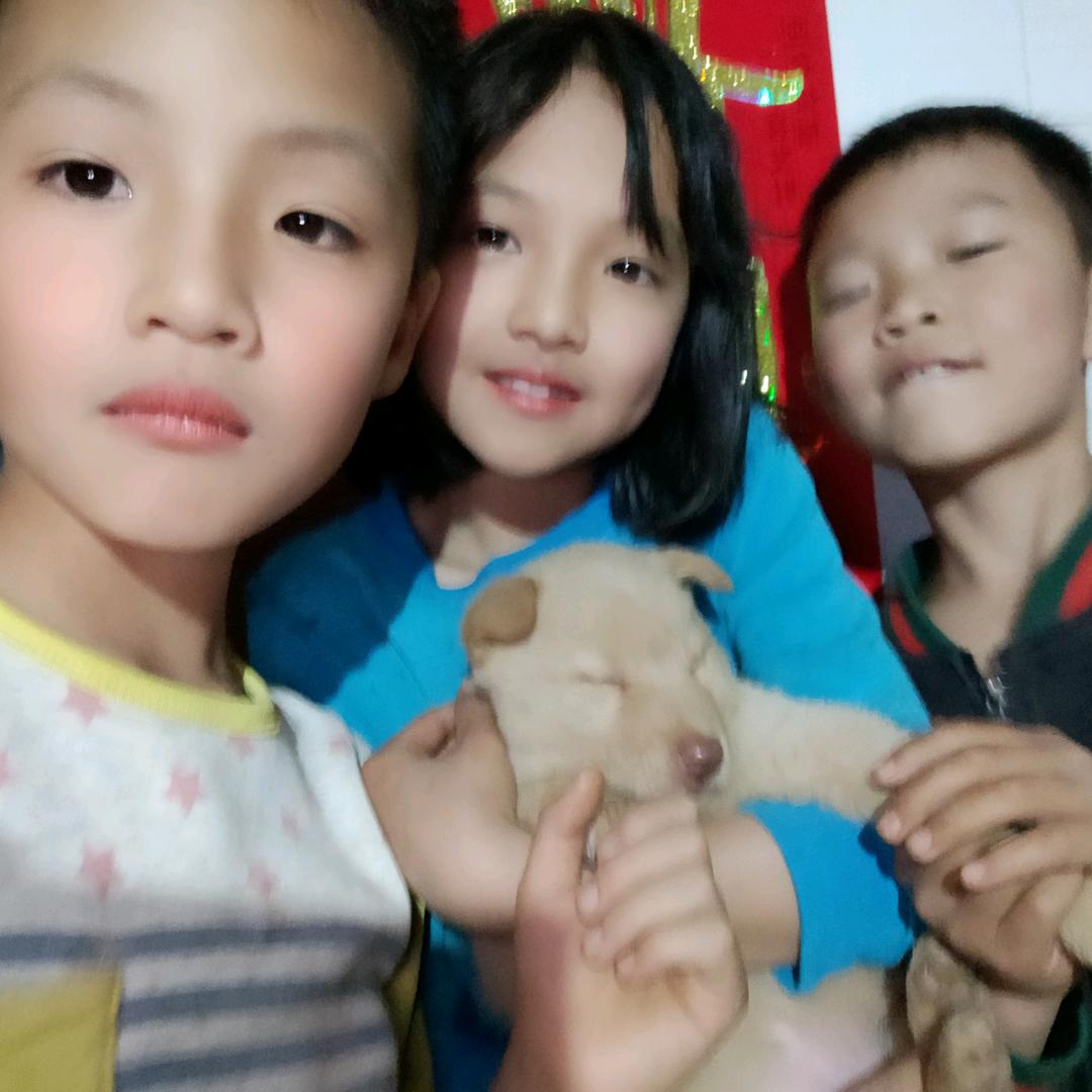 刘万琼