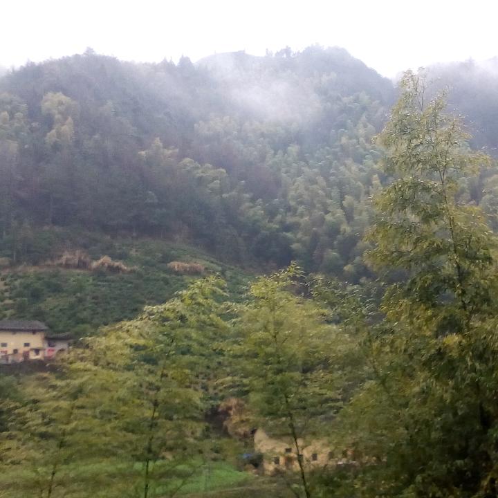简单才是幸福