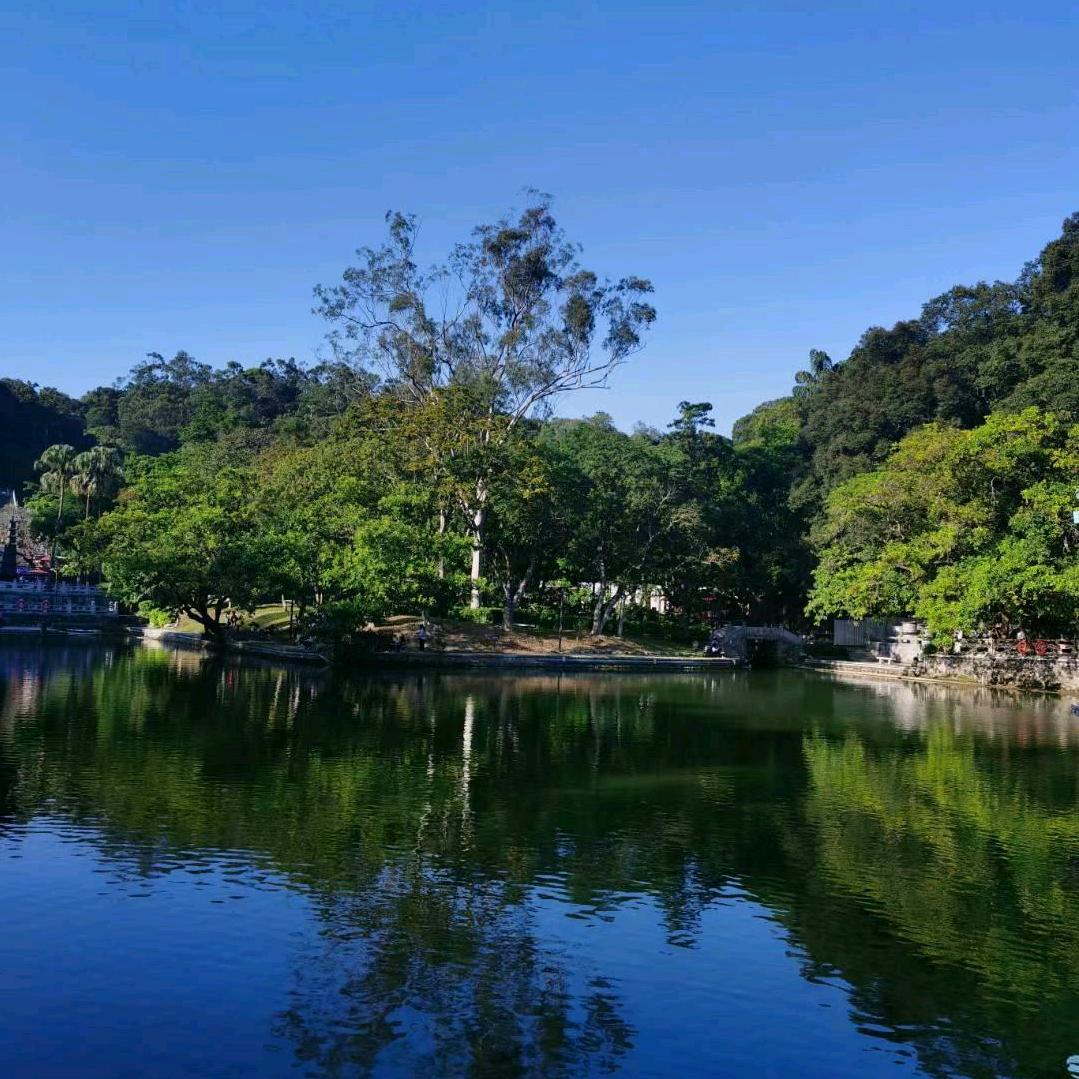 一枝寒梅