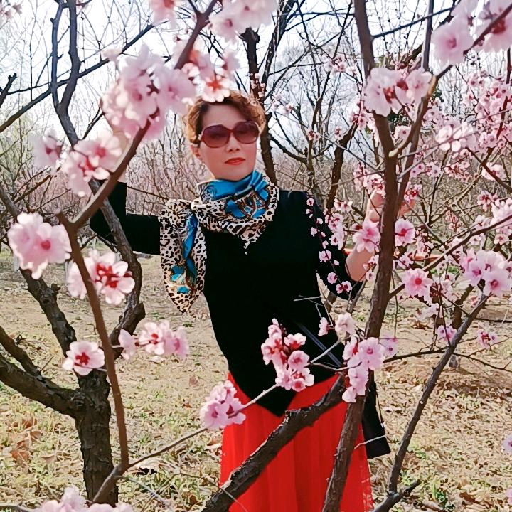山水之外～好物在橱窗💃