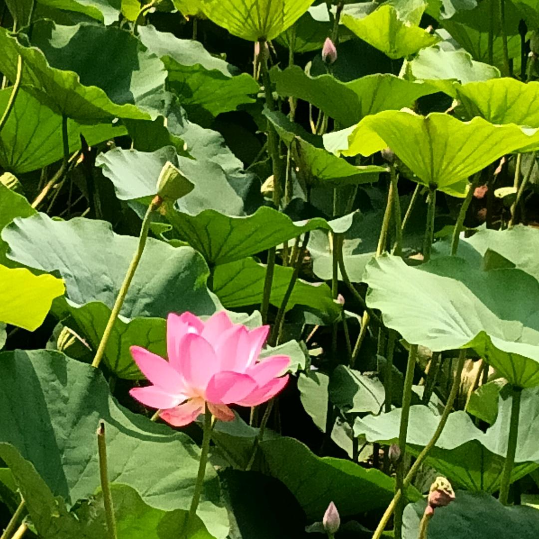 ~瑞~