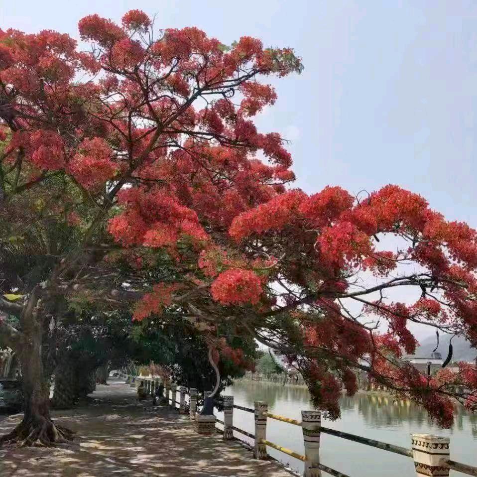 @福往者福来