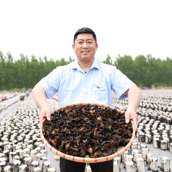木耳书记（王本顺）