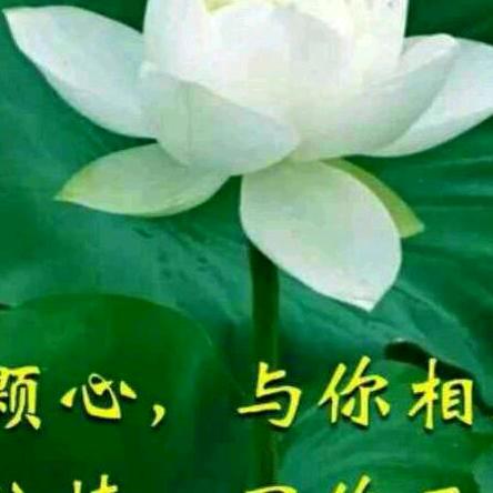 月亮之上