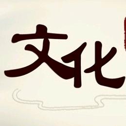 假装文化人