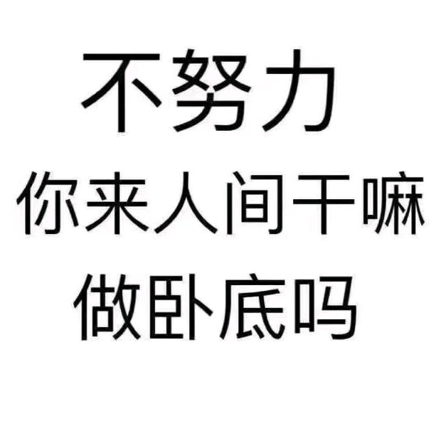 牵着🐰撵蜗牛