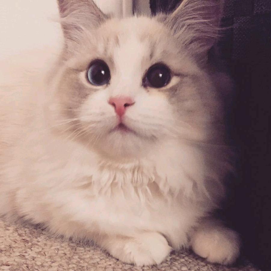 KAI^^