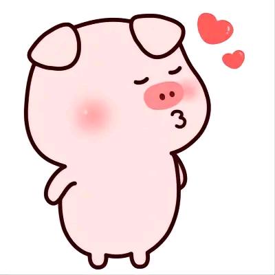 🐷🐷🐷💋