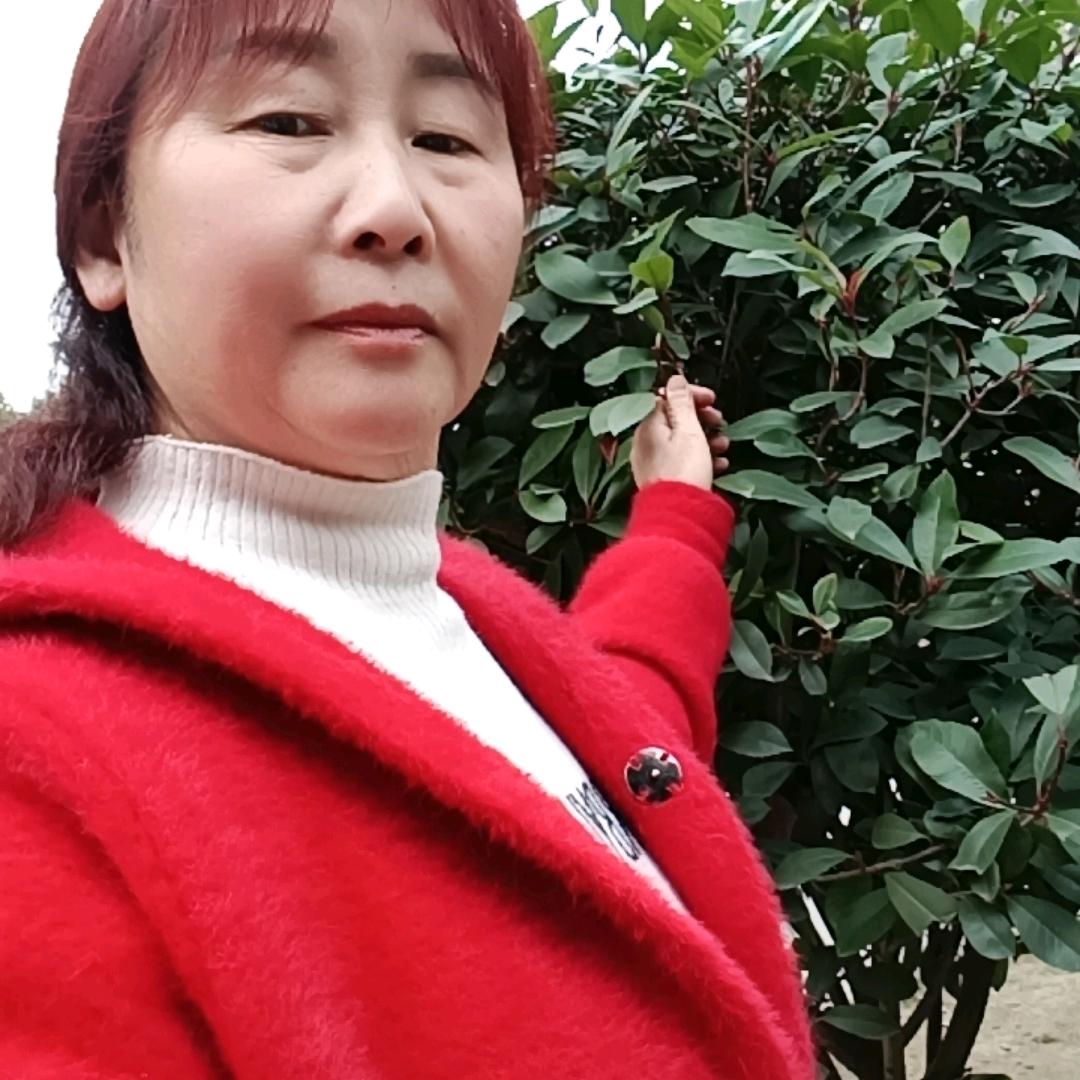 范三姐