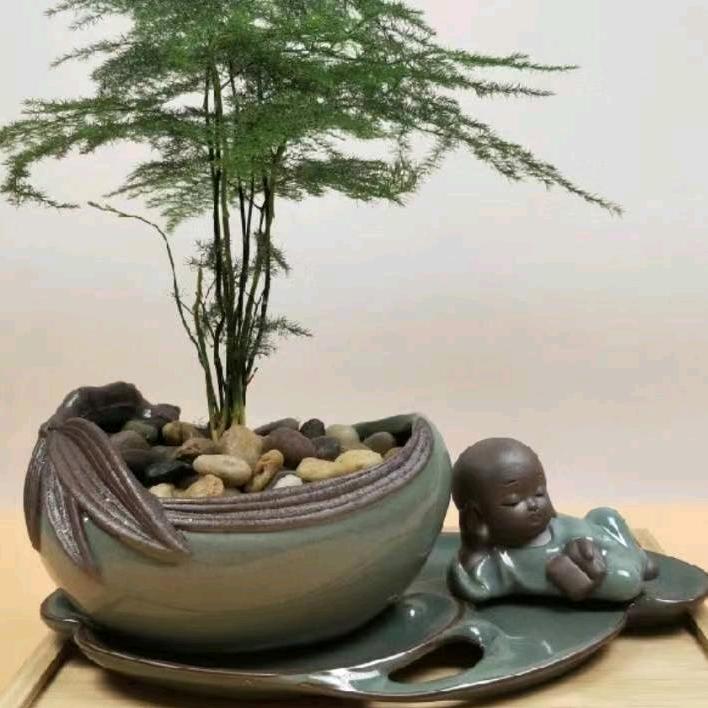 和平使者