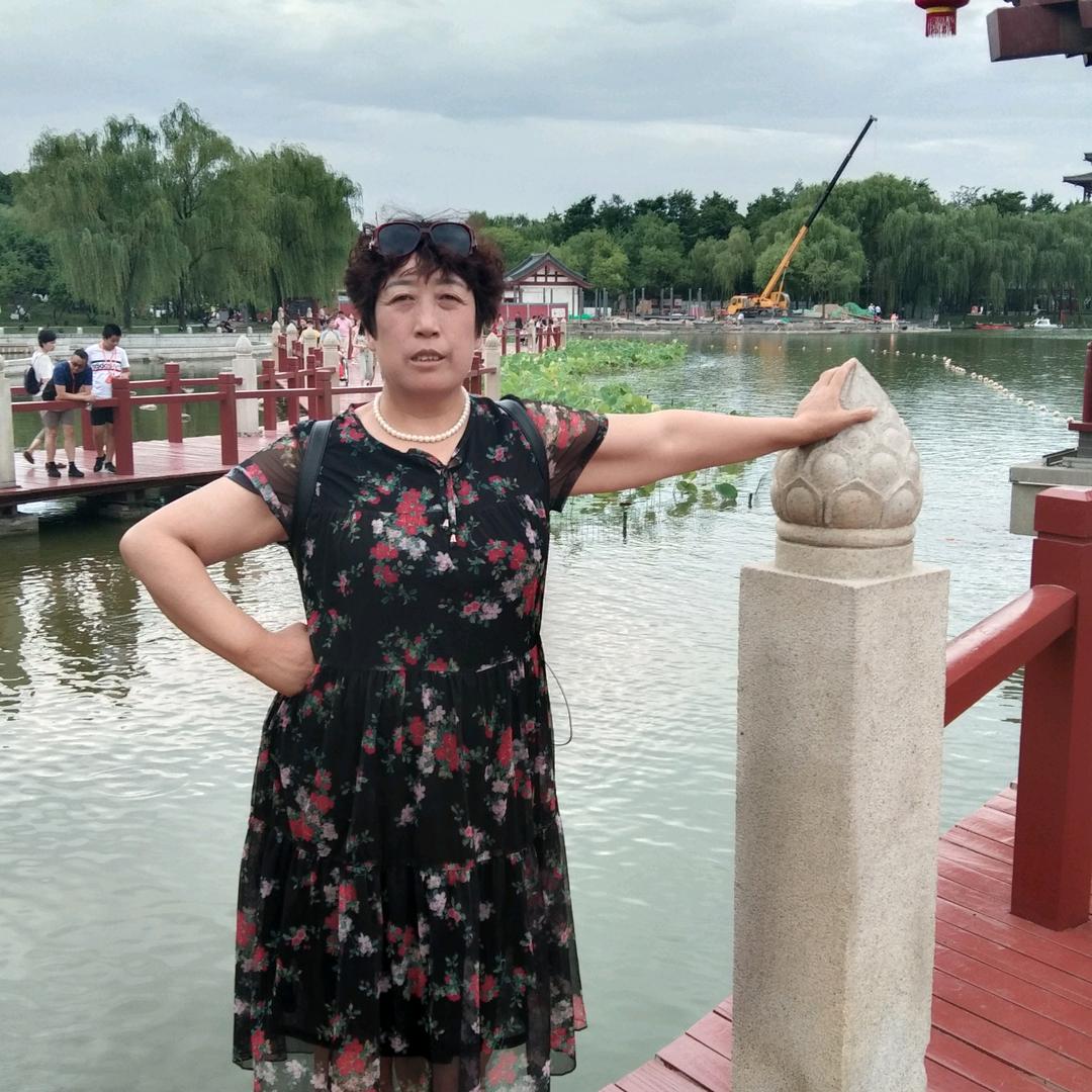 樱花梦