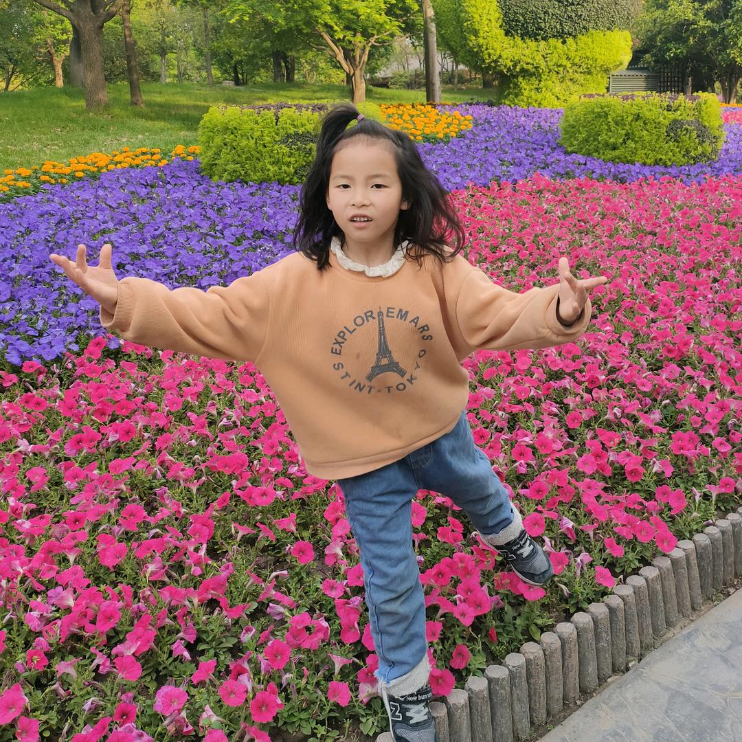 龙龙
