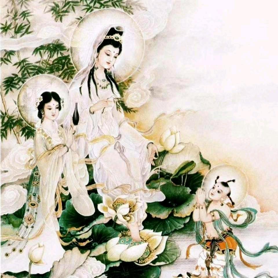豪情小刘花卉7777