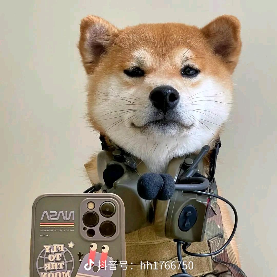 GGboy