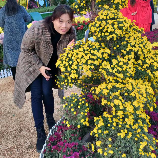 花姐