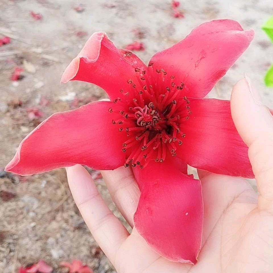 分享正能量@黄姐