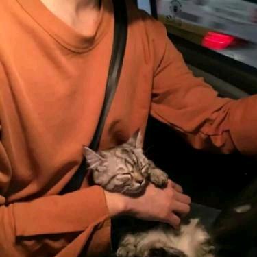 月光不暖人心丶