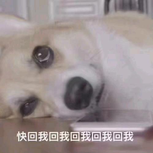 用户名88728912头像