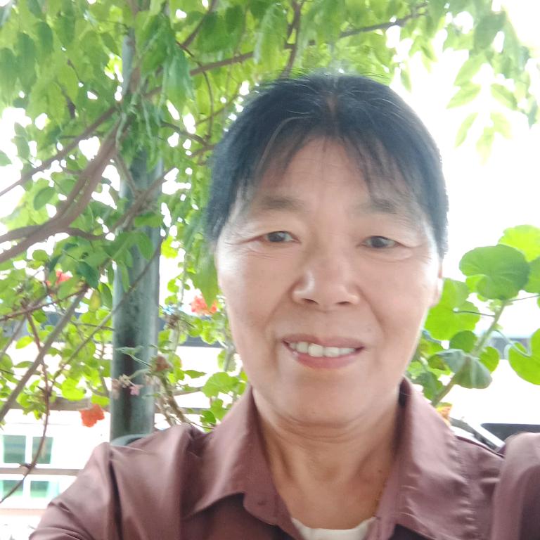 杨八姐