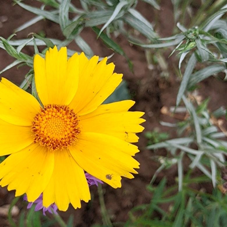 春花秋月