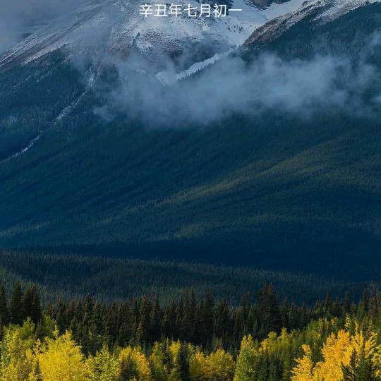 缘份