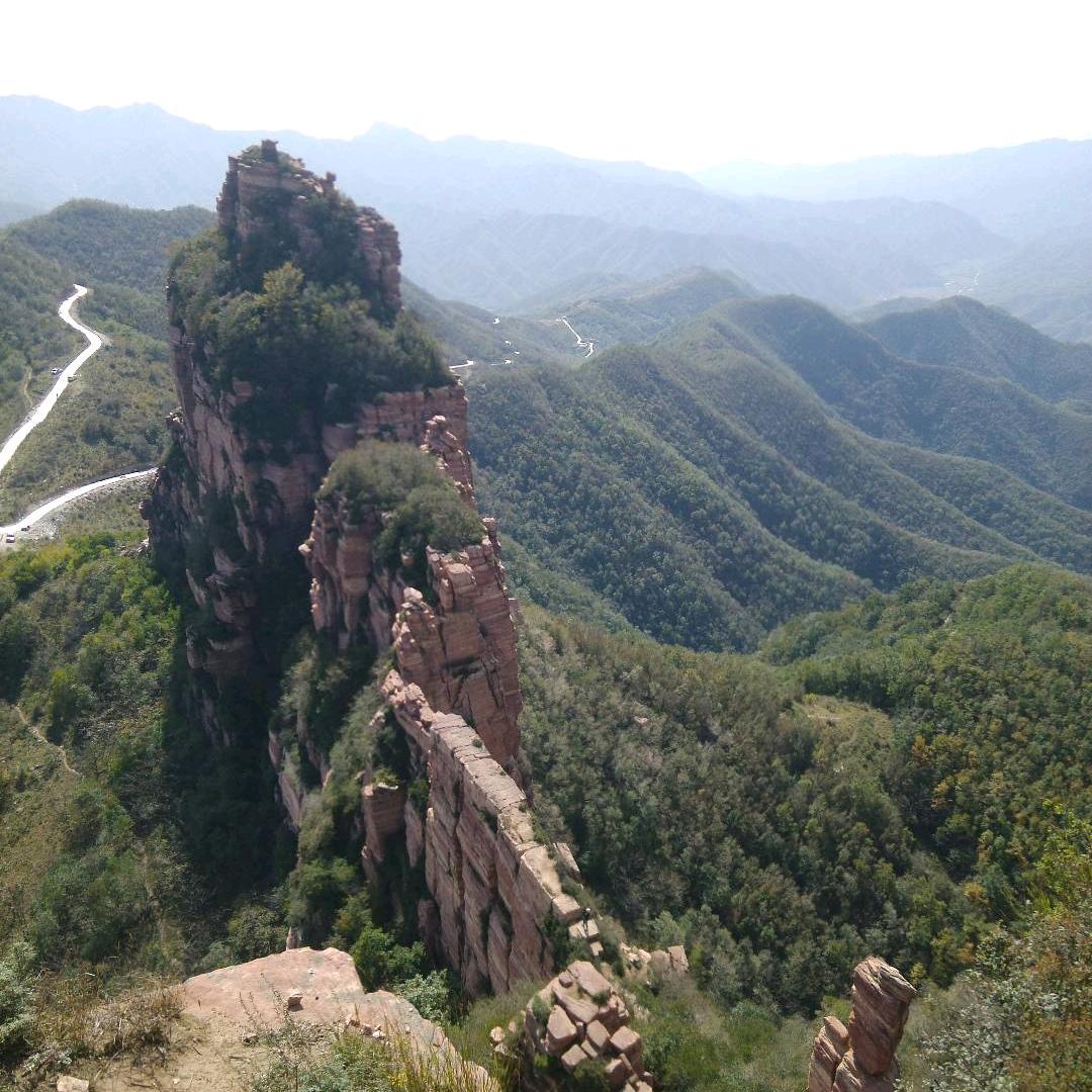 跳跳虎