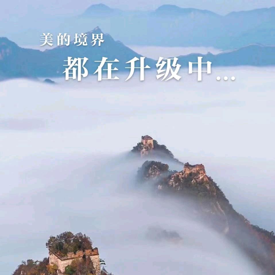 是我