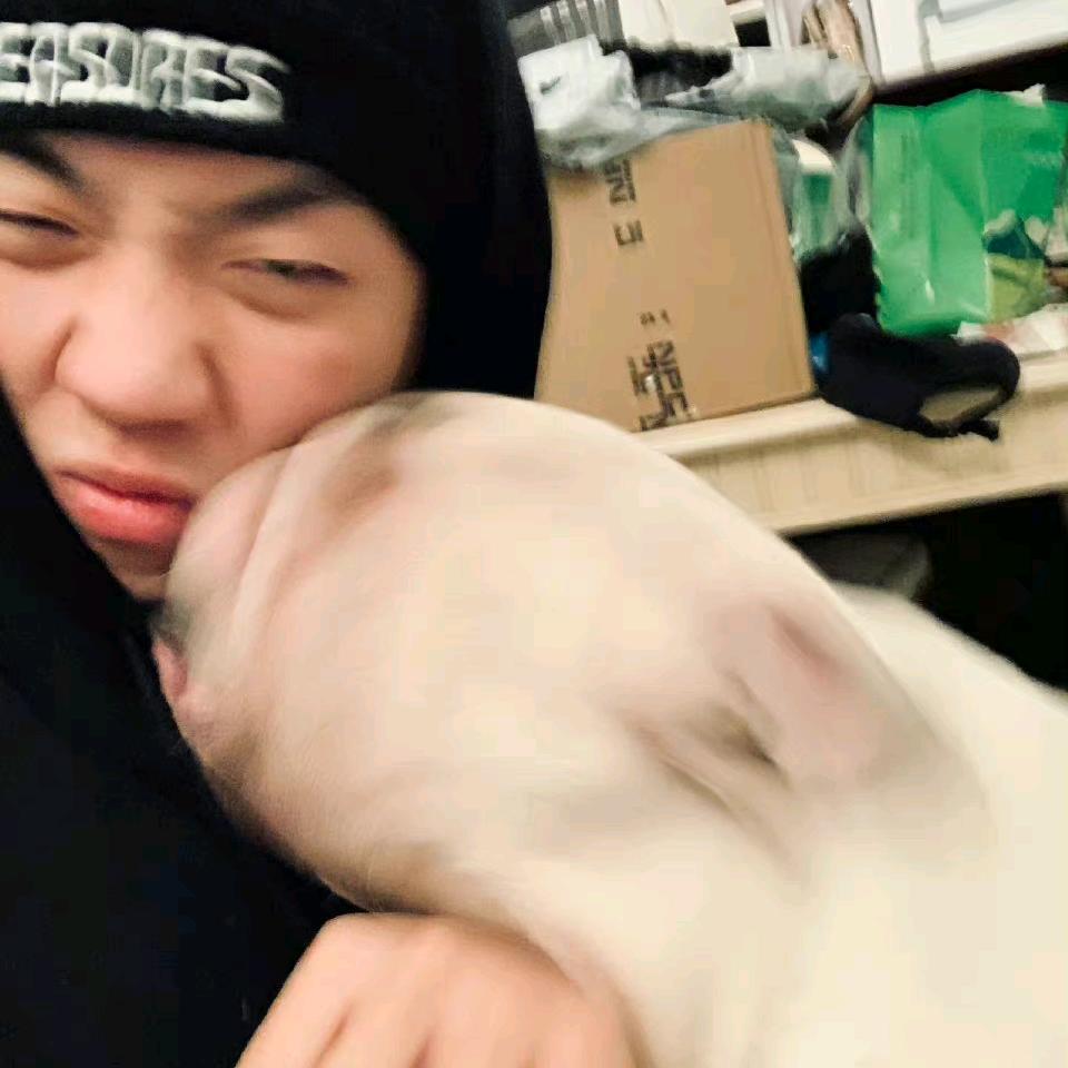 YY