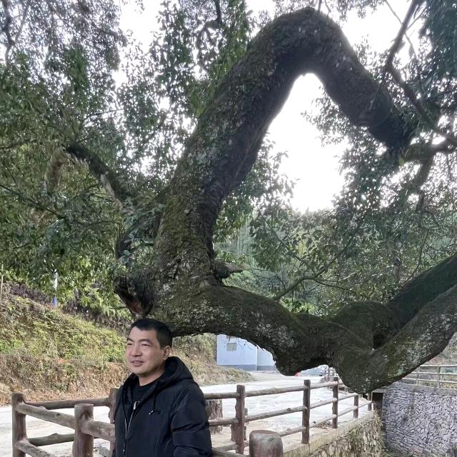 有米叔