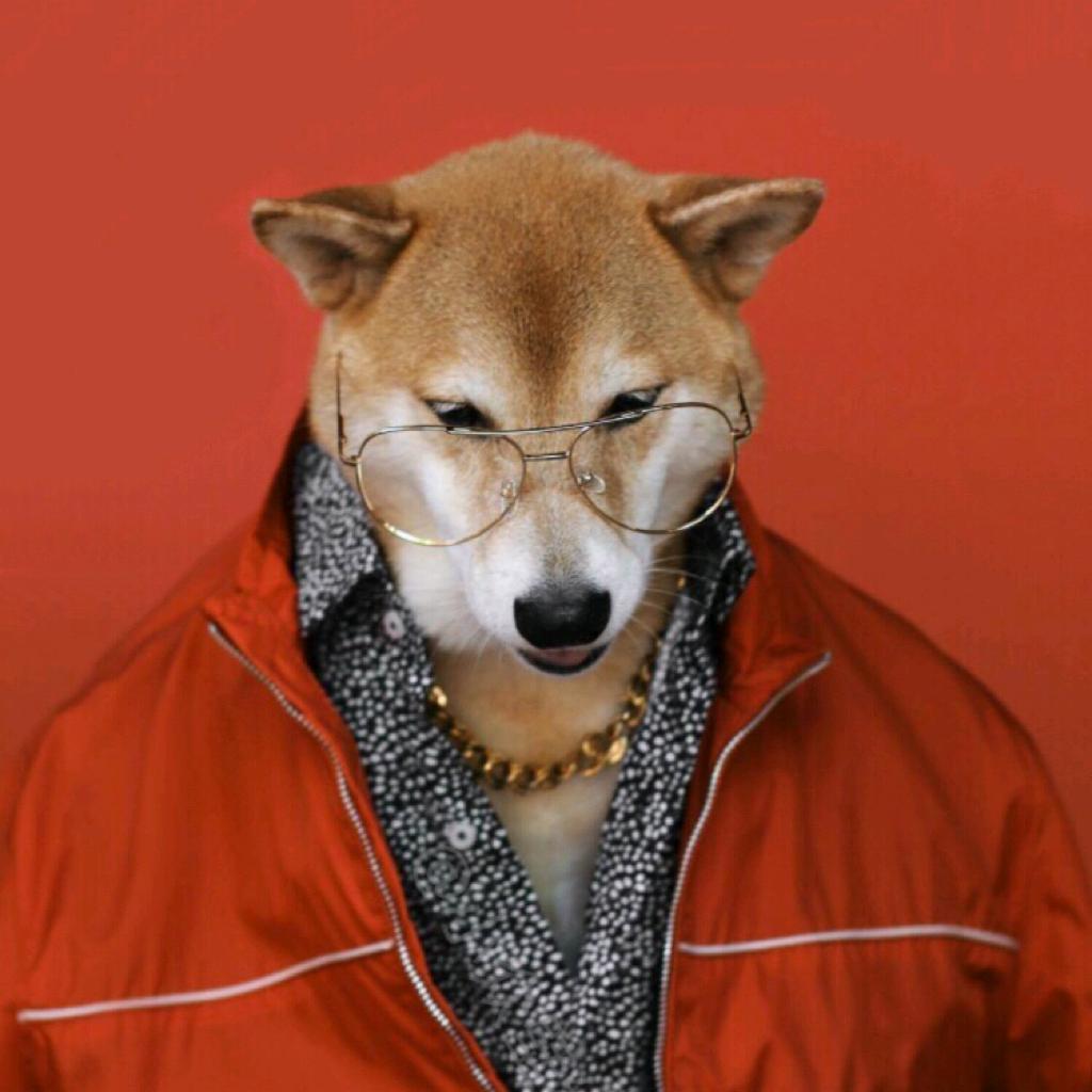 爱尔兰海的弄潮男孩